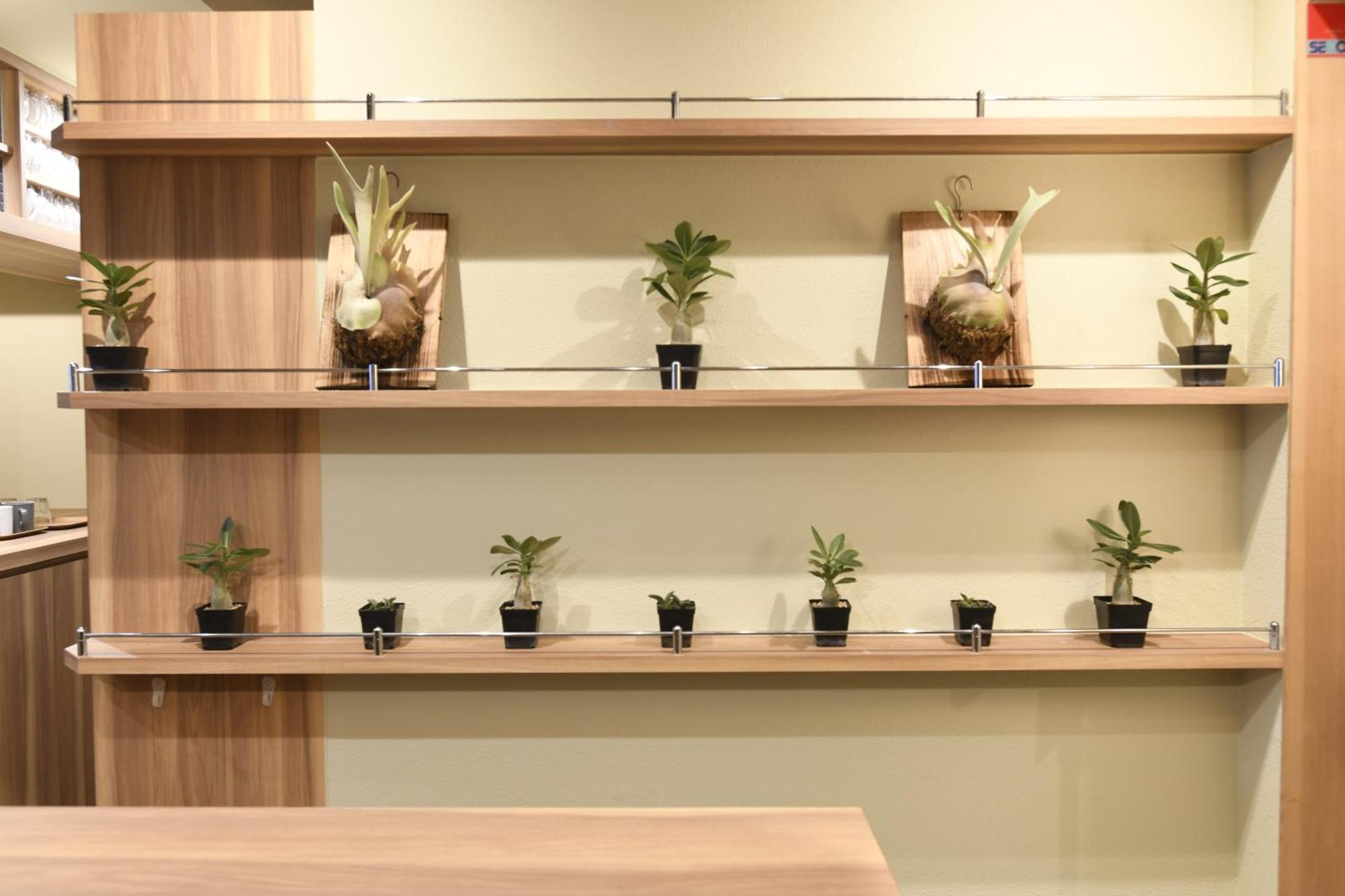 A16 Hostel Tokyo Ngoại thất bức ảnh